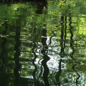 Teich